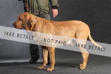 132082_le_ 01_IMG_0137.JPG