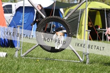 134871_ms_02_IMG_2916.JPG