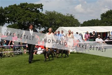130370_se_03_IMG_7594.JPG