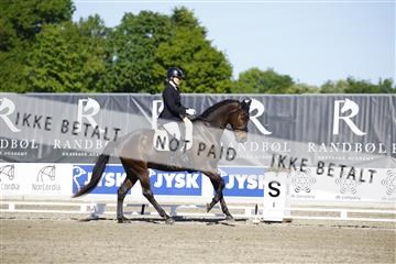 181449_kbb_01_6II9776.JPG