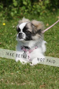 130370_se_02_IMG_6049.JPG