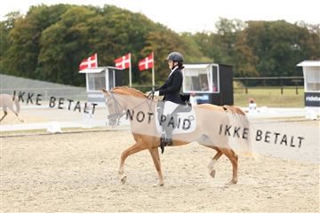 181894_mtp_03_R62_2392.JPG