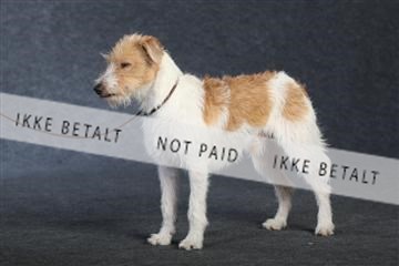 132082_le_ 01_IMG_0936.JPG