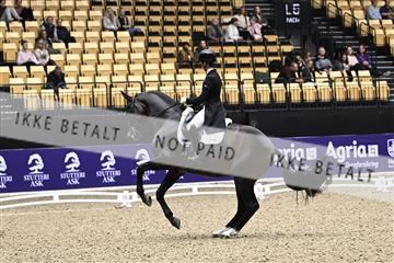182194_kbb_03_Z099838.JPG