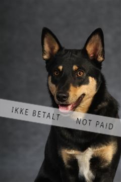 132082_le_ 01_IMG_0734.JPG