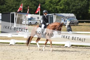 181894_mtp_05_R62_4446.JPG
