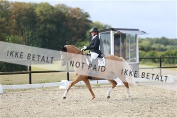 181894_mtp_04_R62_3850.JPG