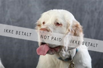 129608_le_ 01_0735.JPG