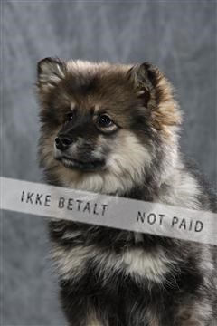 128239_le_ 04_0024.JPG