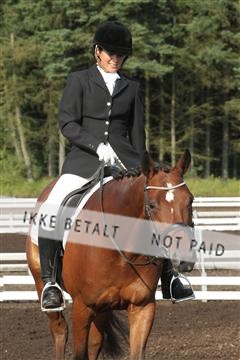 130922_sg_01_IMG_5232.JPG