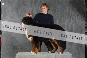 130054_le_ 03_0301.JPG