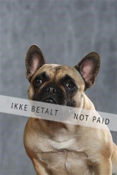 130054_le_ 01_0275.JPG