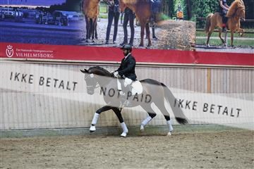 181887_mtp_05_R62_9459.JPG