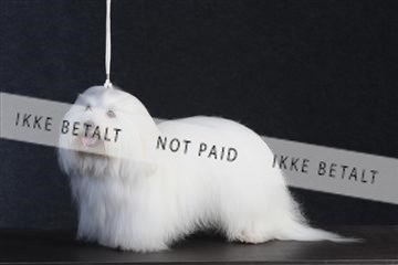 132082_le_ 01_IMG_0380.JPG