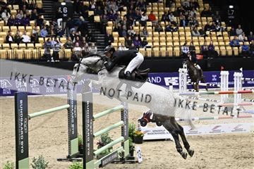 182194_kbb_02_Z099549.JPG