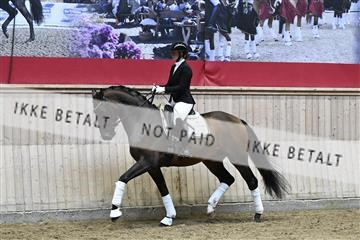 182241_kbb_01_Z094324.JPG