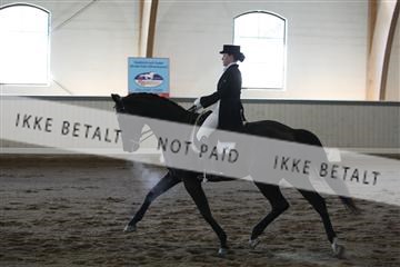 139267_kl_1_8M1Q6823.JPG