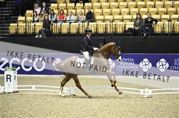 182194_kbb_01_Z096630.JPG