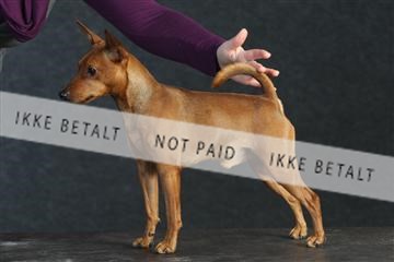 132082_le_ 01_IMG_0213.JPG