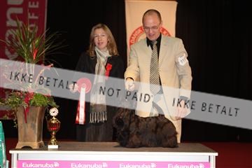 126827_tl_02_IMG_3081.JPG