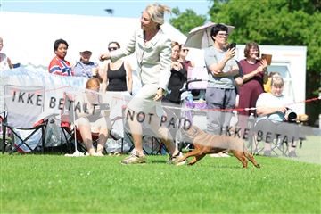 181564_rin_02_R62_2687.JPG