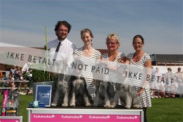 130370_se_02_IMG_6308.JPG