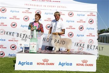 181564_kar_01__62_8200.JPG