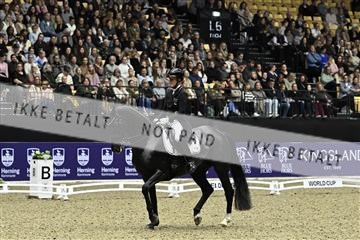 182194_kbb_03_Z092320.JPG