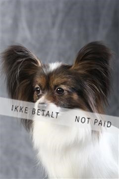 129608_le_ 01_0452.JPG