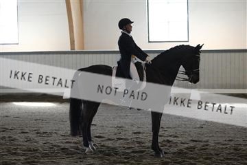 139267_kl_1_8M1Q7097.JPG