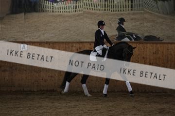 139206_kl_1_8M1Q5448.JPG