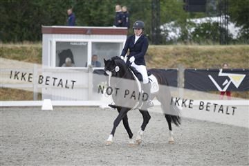 166078_rhj_01__J7R4470.JPG
