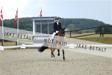 181894_mtp_05_R62_4192.JPG