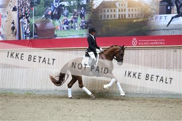 181887_mtp_04_R62_8341.JPG
