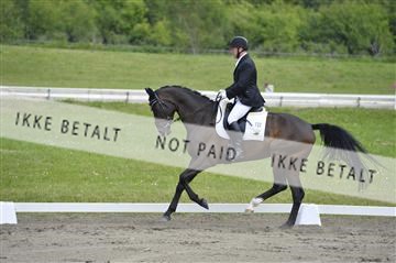 140040_abo_01__AB17112.JPG