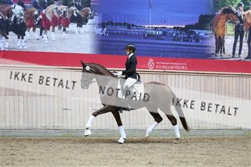 181887_mtp_04_R62_8845.JPG