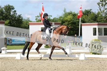 156196_nn_01_IMG_5700.JPG