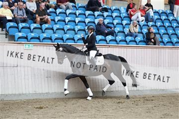 181887_mtp_02_R62_7651.JPG