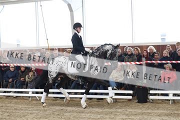 174363_kbb_01_R6II7895.JPG