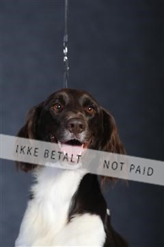 132082_le_ 01_IMG_1008.JPG