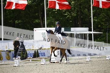 181449_kbb_02_6II0146.JPG