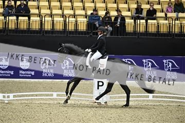 182194_kbb_01_Z096364.JPG
