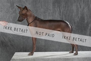 130054_le_ 03_0219.JPG