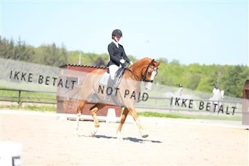 168732_mtp_01_3M5A8082.JPG