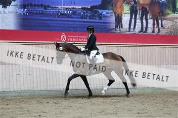 181887_mtp_02_R62_7562.JPG