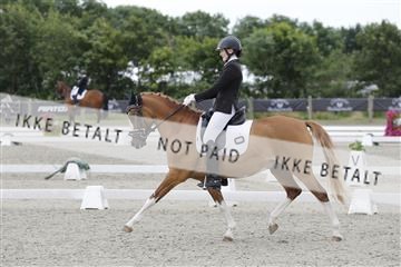 166078_rhj_01__J7R3340.JPG