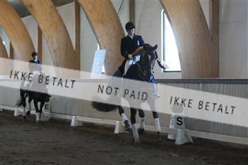 139267_kl_1_8M1Q6719.JPG