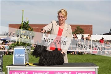 130370_se_02_IMG_6519.JPG
