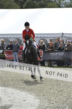 139644_abo_09__AB10556.JPG