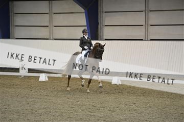 140040_abo_01__AB17869.JPG